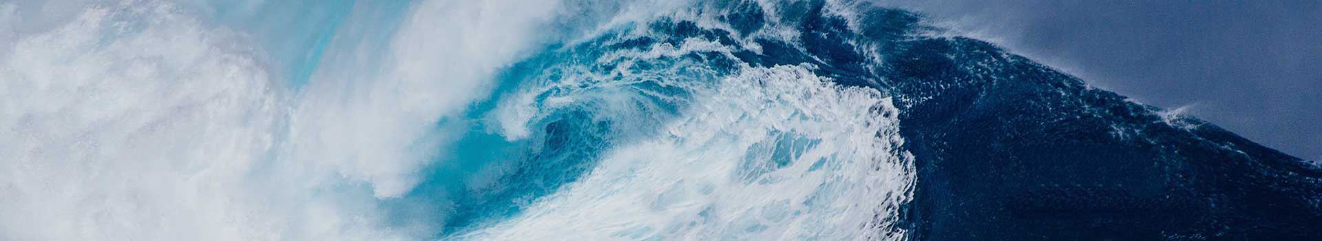 ��ϵ����